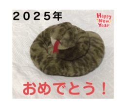734766682