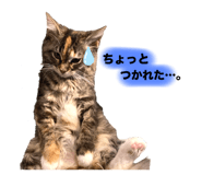 734769314