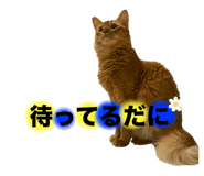 734769316