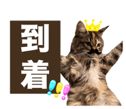 734769348