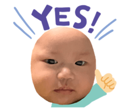 734770446