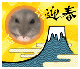 734776355