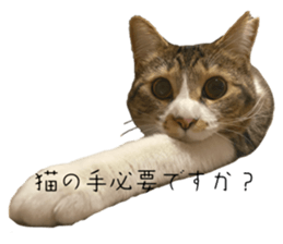 734794961