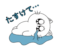 734803065