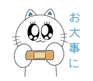 734803067