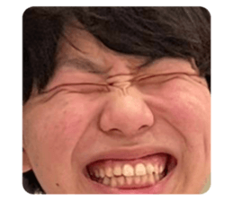 734808297