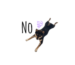 734809355