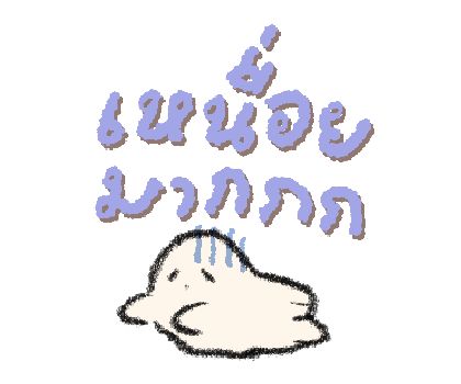 ลายที่ 28