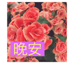 734829913