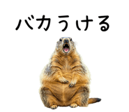 734848564
