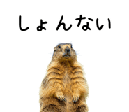 734848565