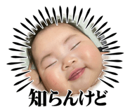 734881613