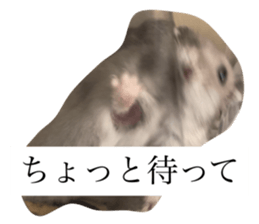 734885050