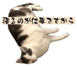 734903182