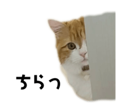734919438