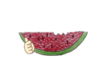 734928439