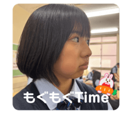 734933556