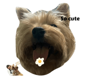 734941878