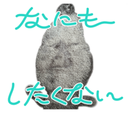 734949800