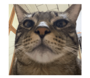 734952635