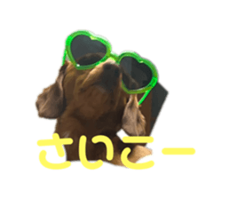 734955223