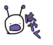 734955577