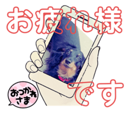 734976609