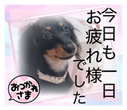 734976615