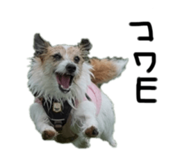 735000015