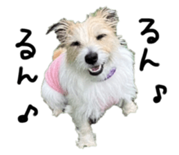 735000018