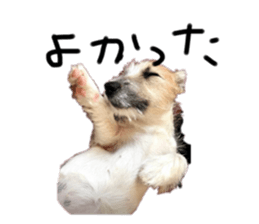 735000031