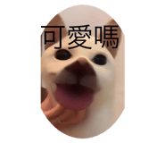 735001053