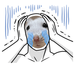 735005493