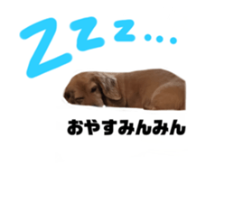 735006045