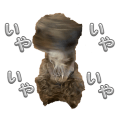 735006730