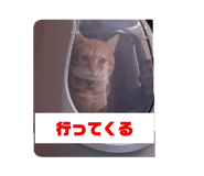 735007533