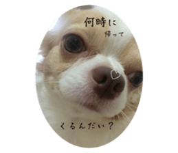 735007653