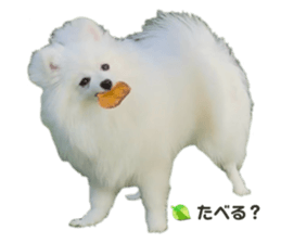 735015969