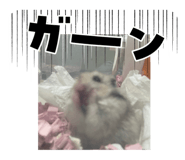 735016012