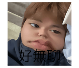 735024684
