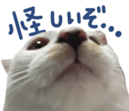 735027555