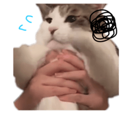 735043680