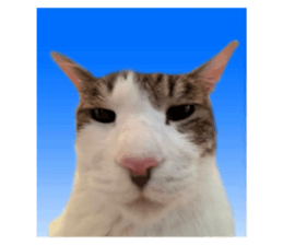 735043682