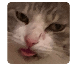 735043693