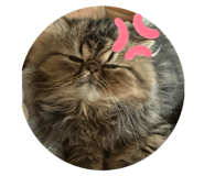 735044727