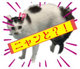 735045481