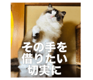 735048250