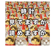 735048253