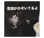 735048255