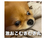 735048257